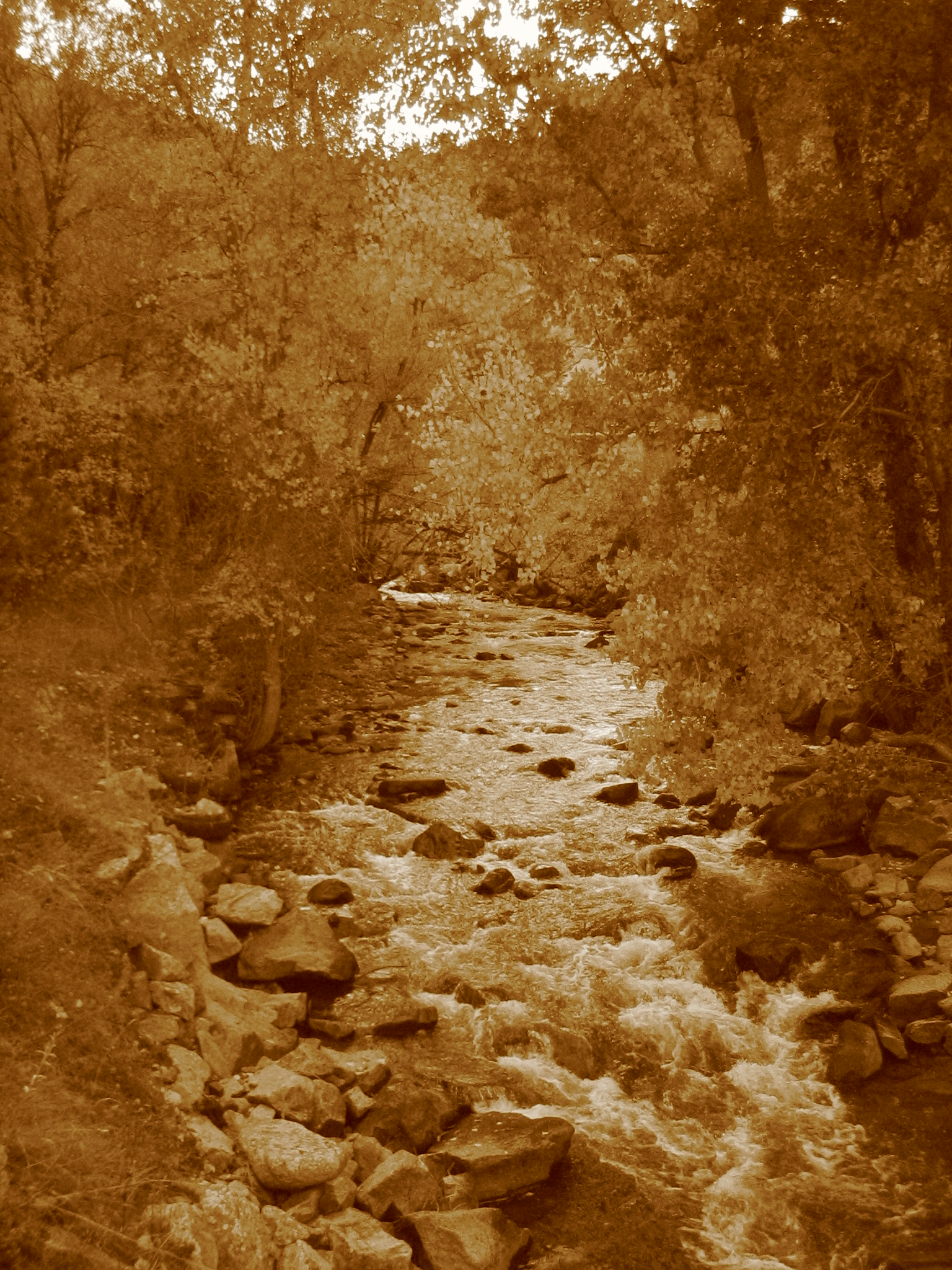 041008 boulder creek2.JPG